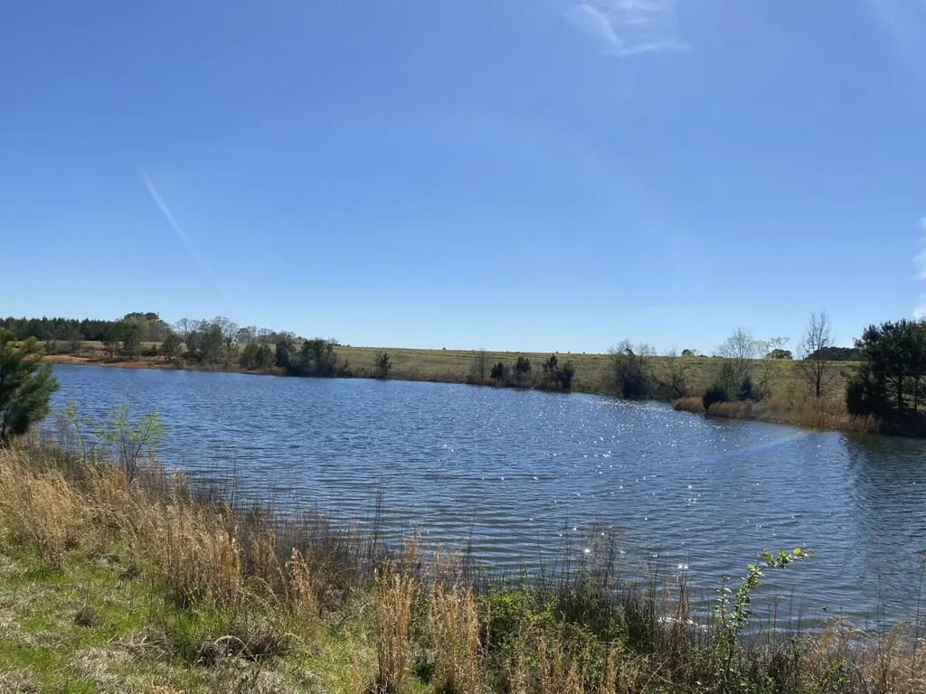 00 County Road 137 Abbeville AL 36310