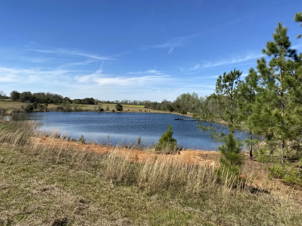 00 County Road 137 Abbeville AL 36310