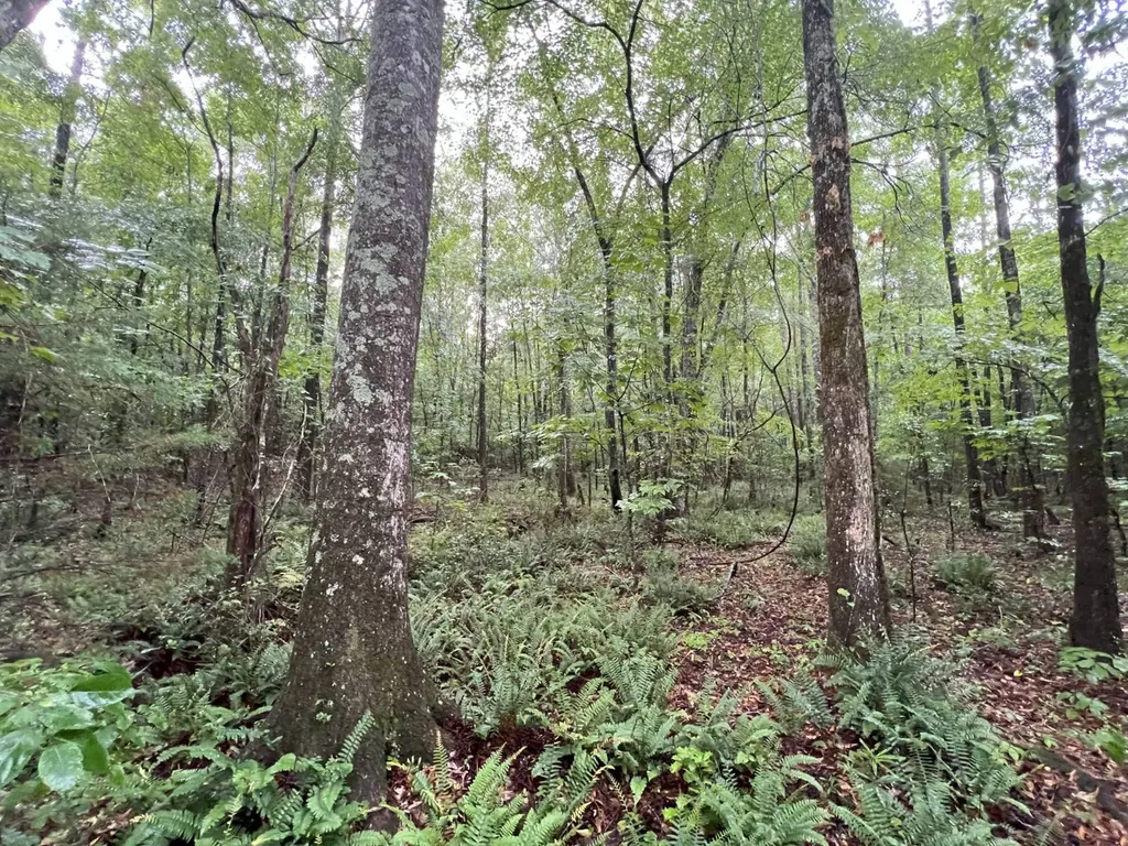 7550 Coosa Cr 49 Goodwater AL 35072