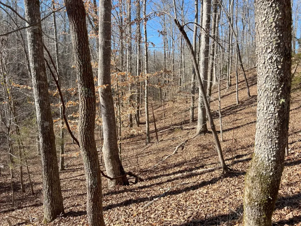 7550 Coosa Cr 49 Goodwater AL 35072