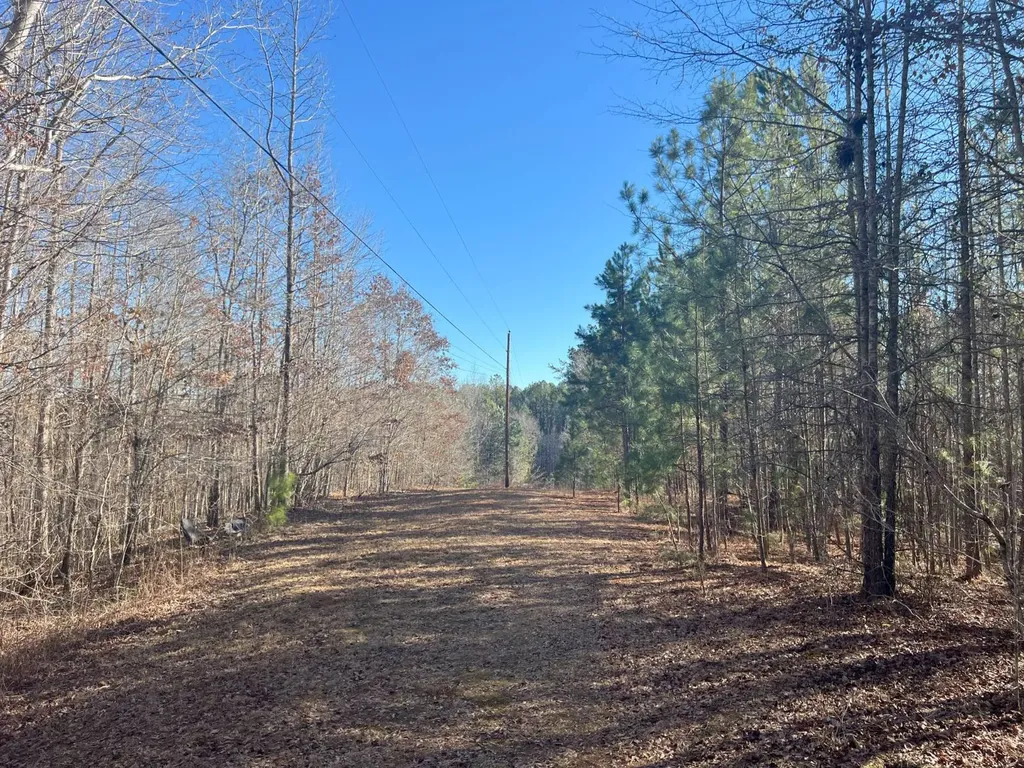 7550 Coosa Cr 49 Goodwater AL 35072