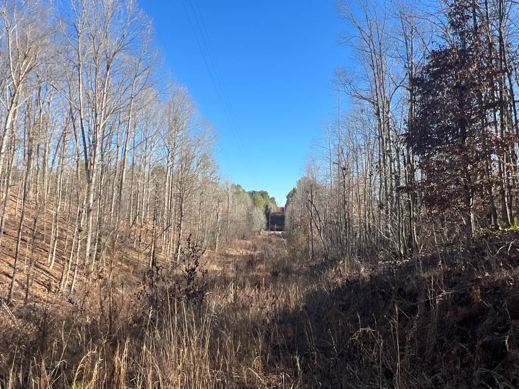 7550 Coosa Cr 49 Goodwater AL 35072