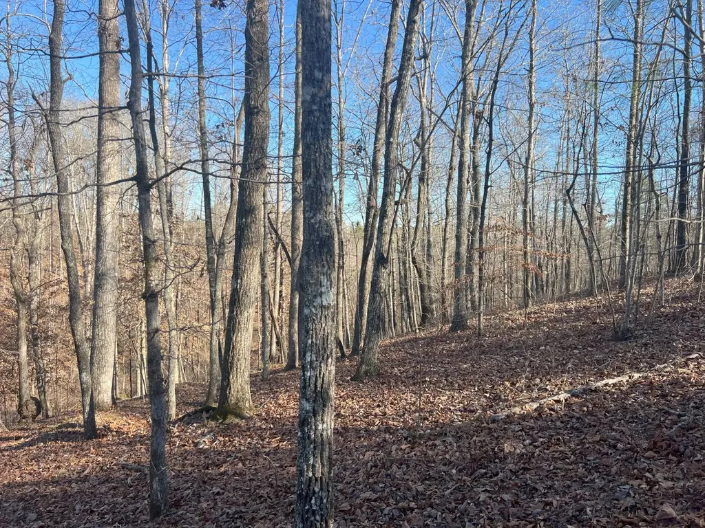 7550 Coosa Cr 49 Goodwater AL 35072