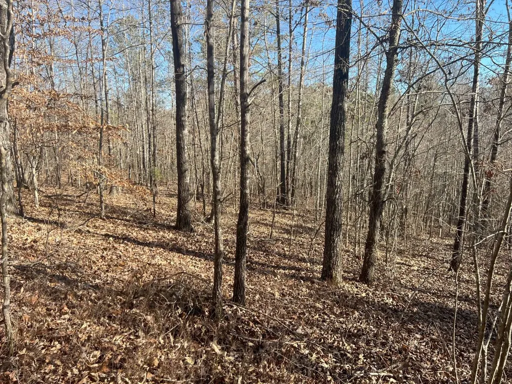 7550 Coosa Cr 49 Goodwater AL 35072