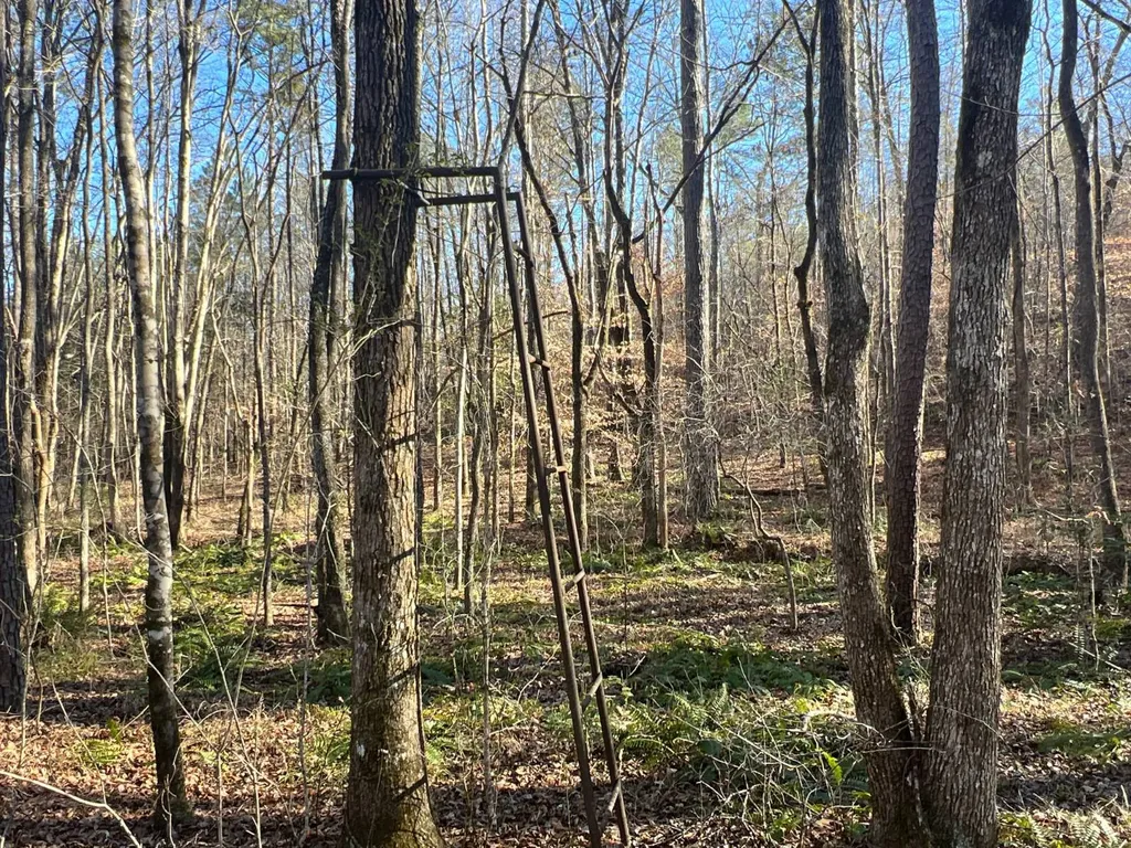 7550 Coosa Cr 49 Goodwater AL 35072