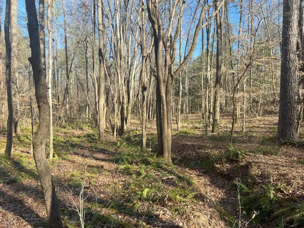 7550 Coosa Cr 49 Goodwater AL 35072