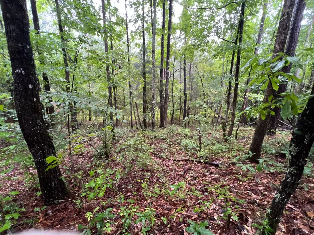 7550 Coosa Cr 49 Goodwater AL 35072