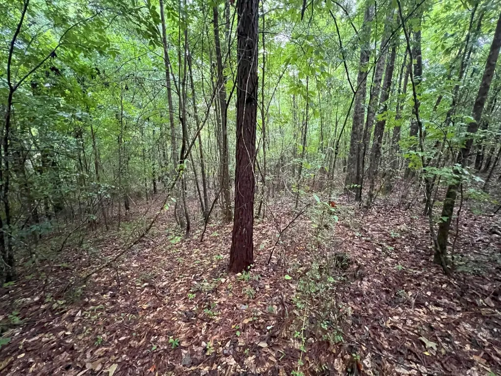 7550 Coosa Cr 49 Goodwater AL 35072