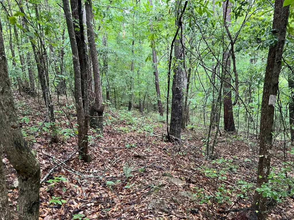 7550 Coosa Cr 49 Goodwater AL 35072