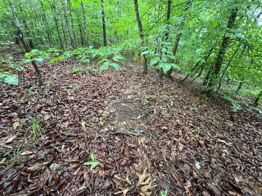 7550 Coosa Cr 49 Goodwater AL 35072