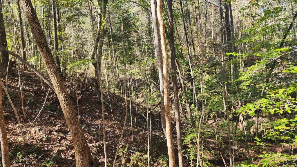 1 County Road 51 Greensboro AL 36744