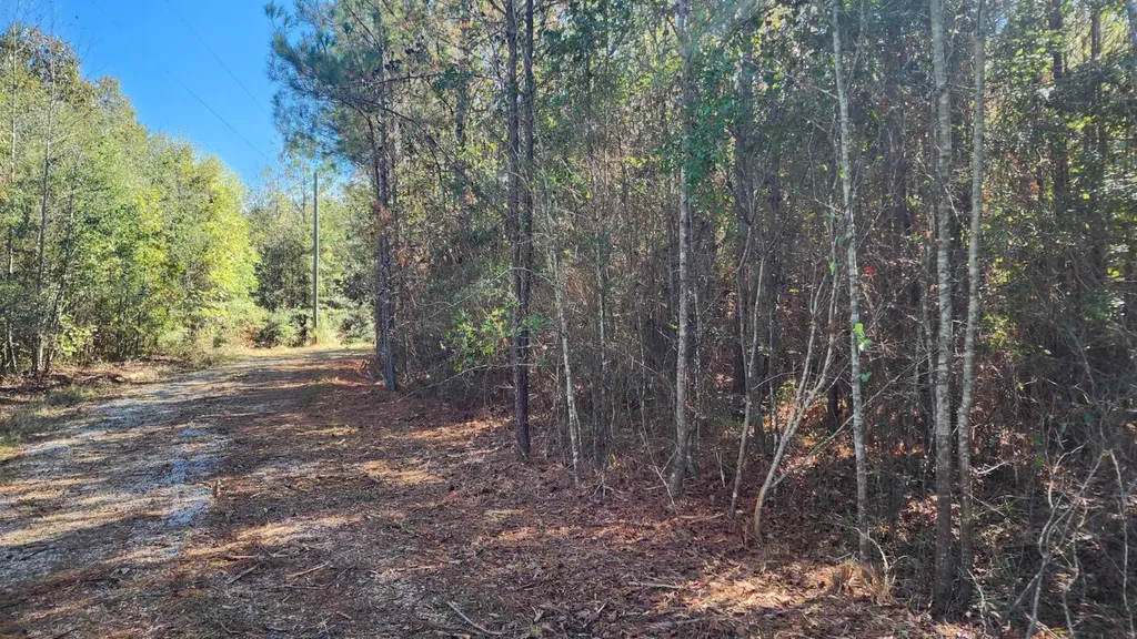 1 County Road 51 Greensboro AL 36744