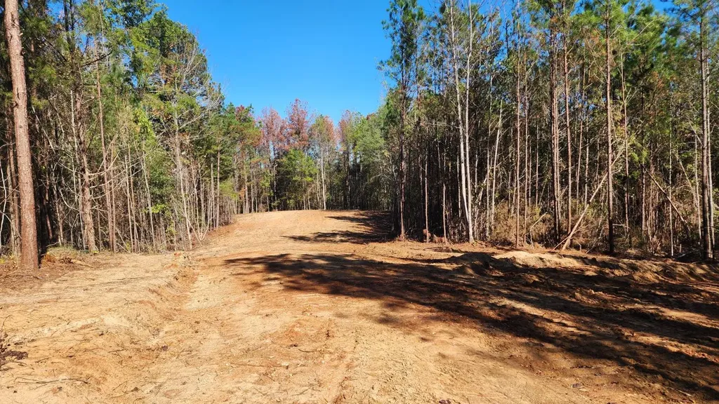 1 County Road 51 Greensboro AL 36744