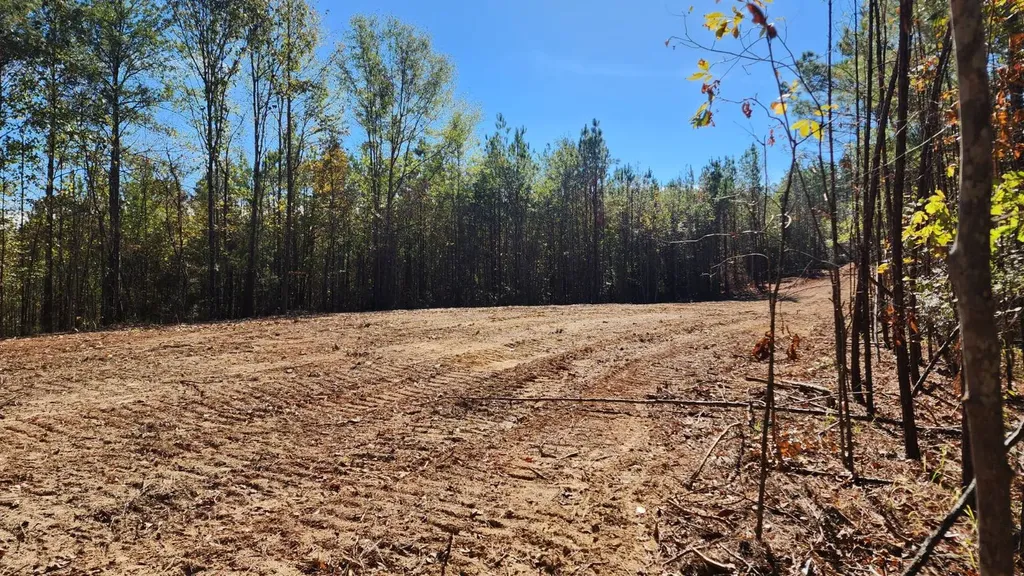 1 County Road 51 Greensboro AL 36744