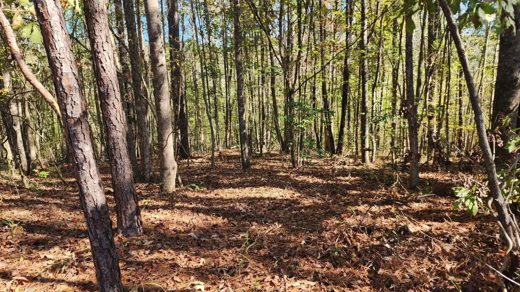 1 County Road 51 Greensboro AL 36744