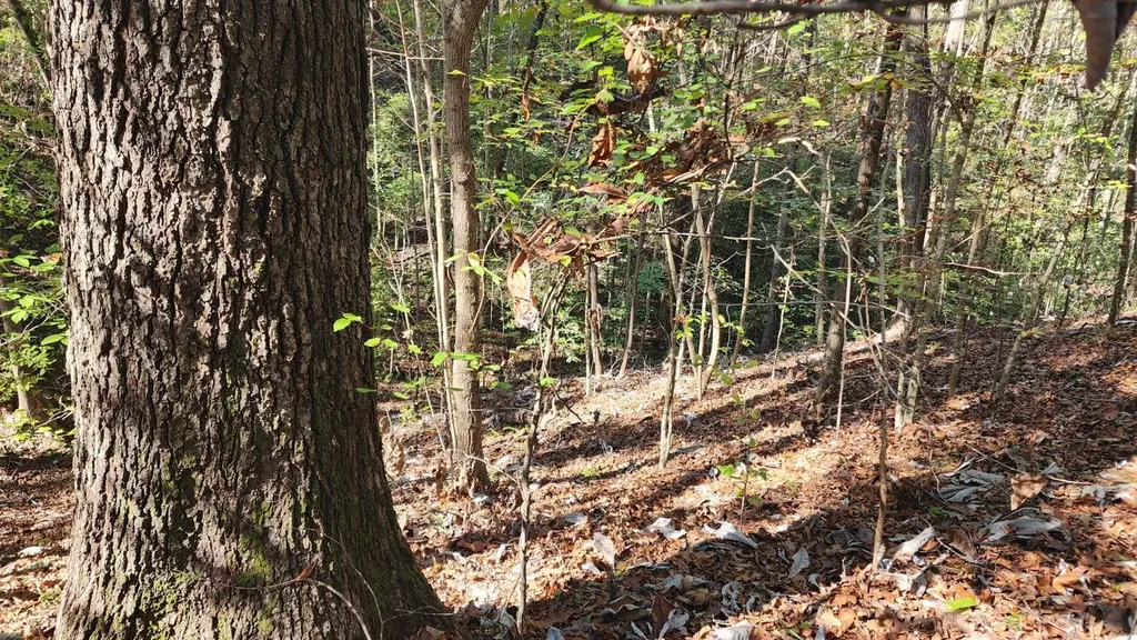 1 County Road 51 Greensboro AL 36744