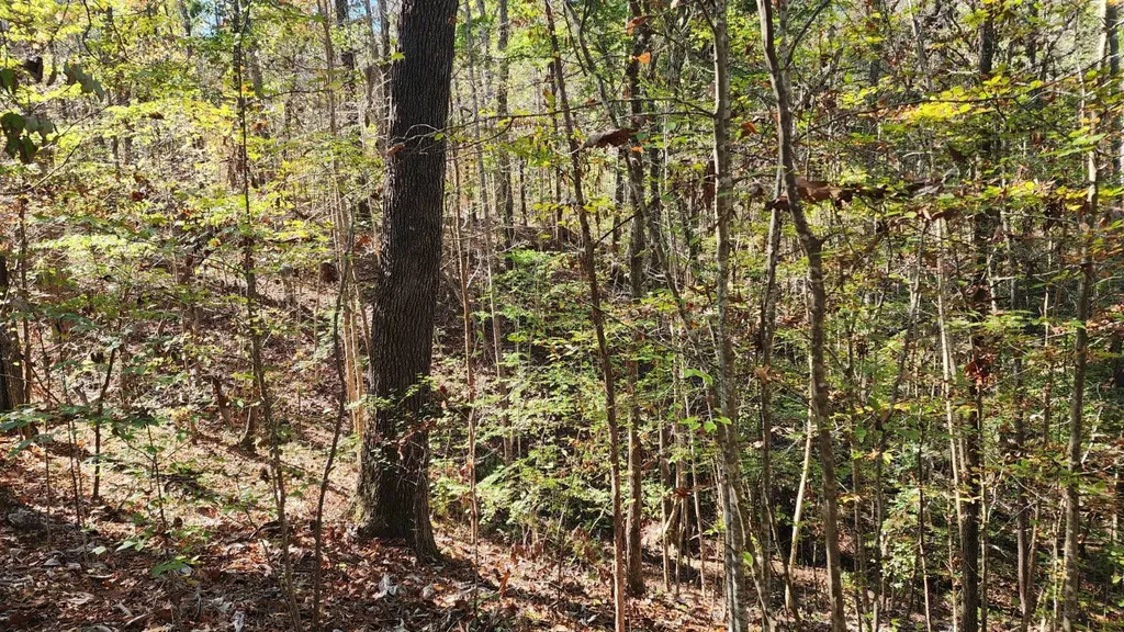 1 County Road 51 Greensboro AL 36744