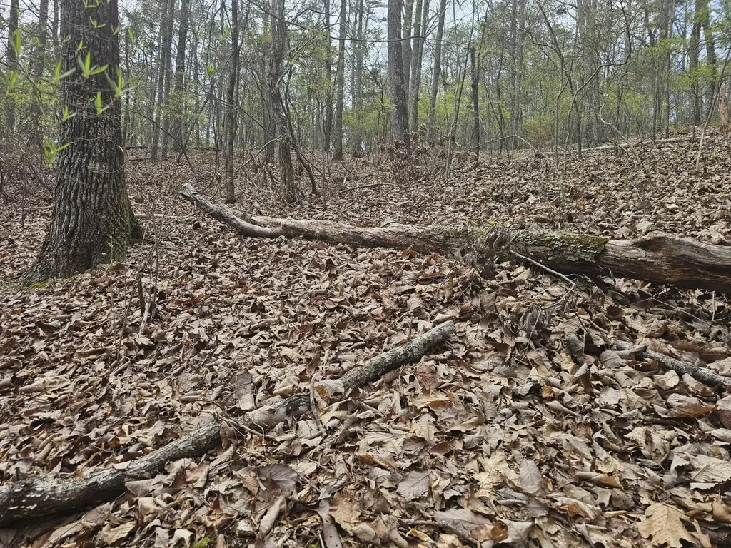 0000 County Road 10 Guin AL 35563