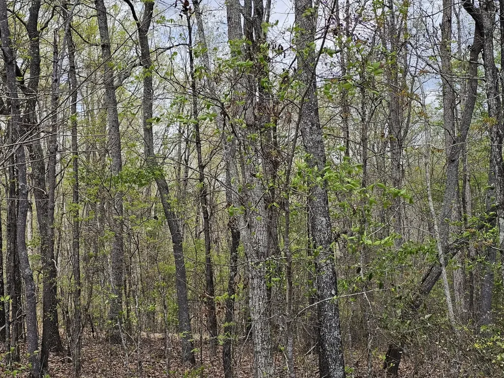 0000 County Road 10 Guin AL 35563