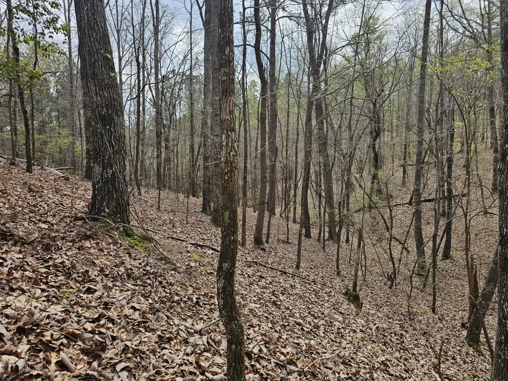 0000 County Road 10 Guin AL 35563