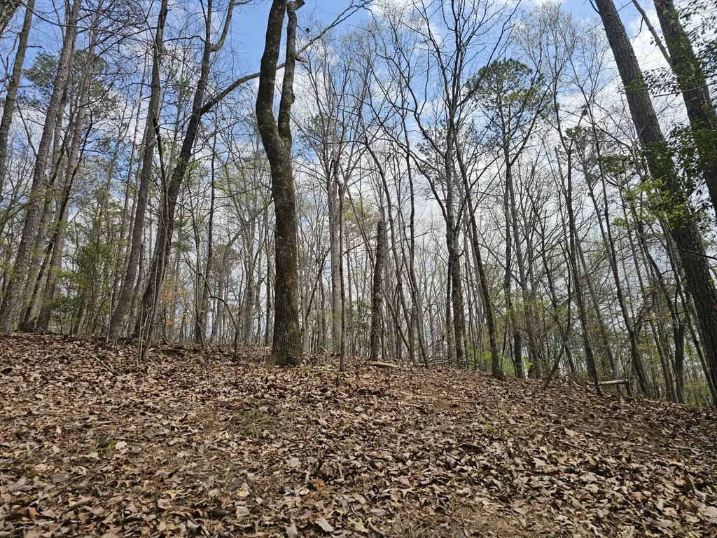 0000 County Road 10 Guin AL 35563