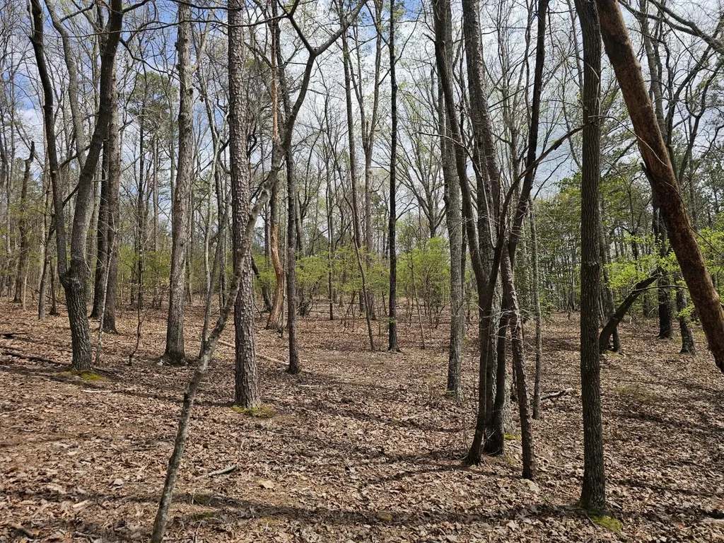 0000 County Road 10 Guin AL 35563