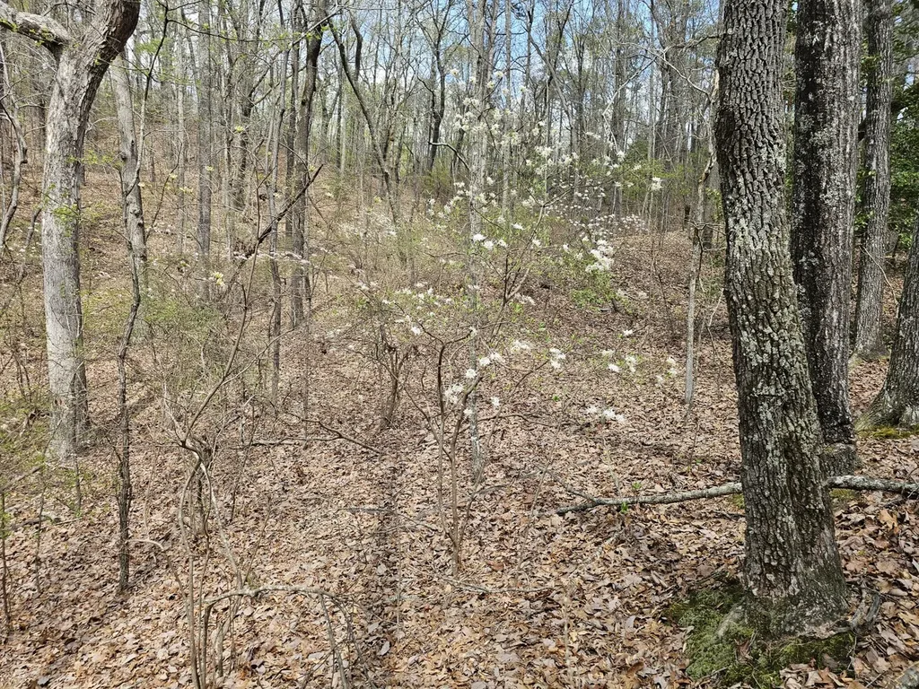 0000 County Road 10 Guin AL 35563