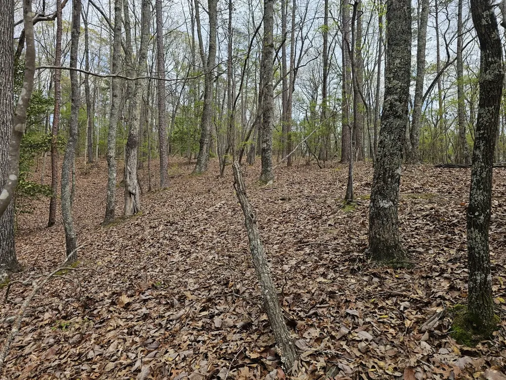 0000 County Road 10 Guin AL 35563