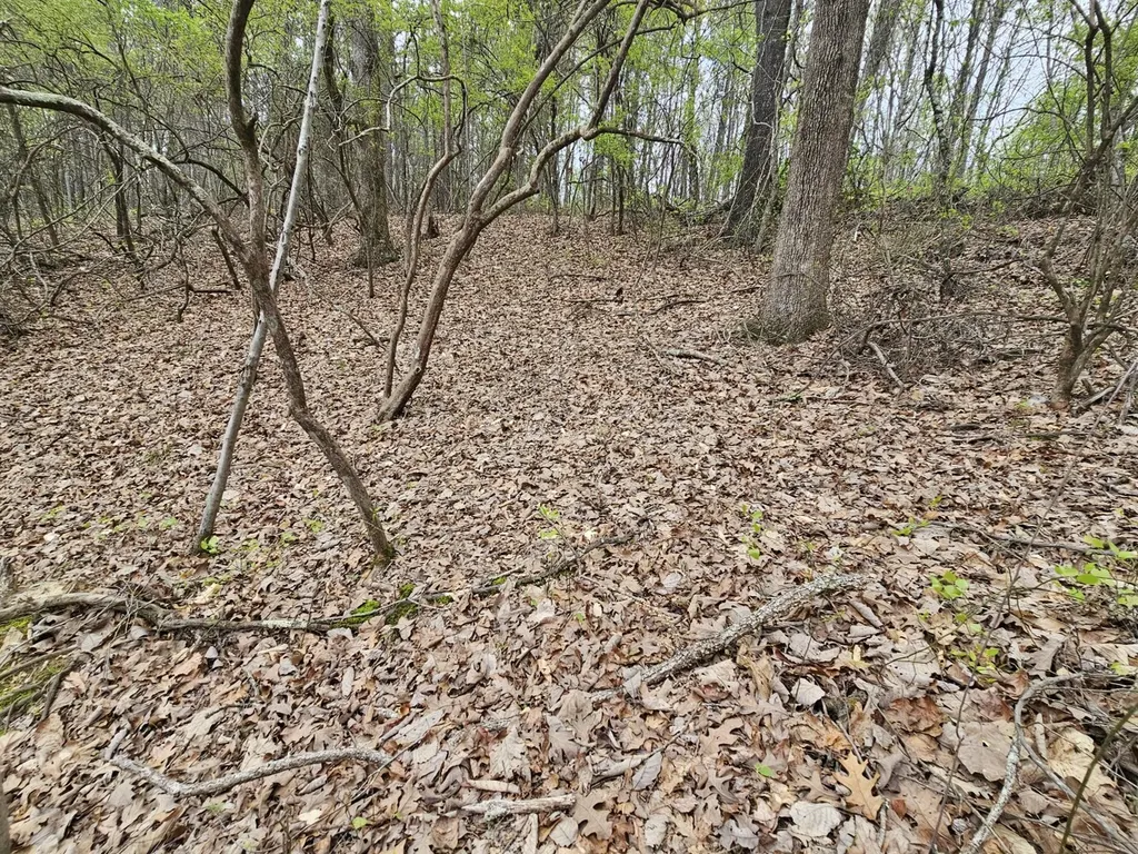 0000 County Road 10 Guin AL 35563