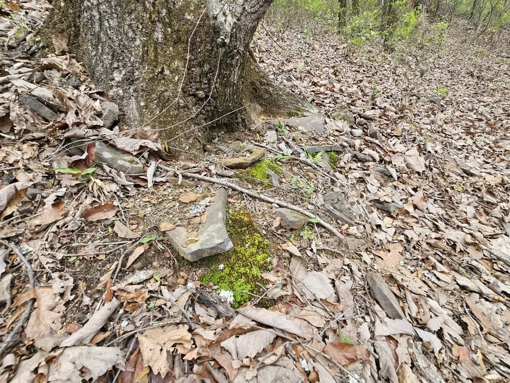 0000 County Road 10 Guin AL 35563