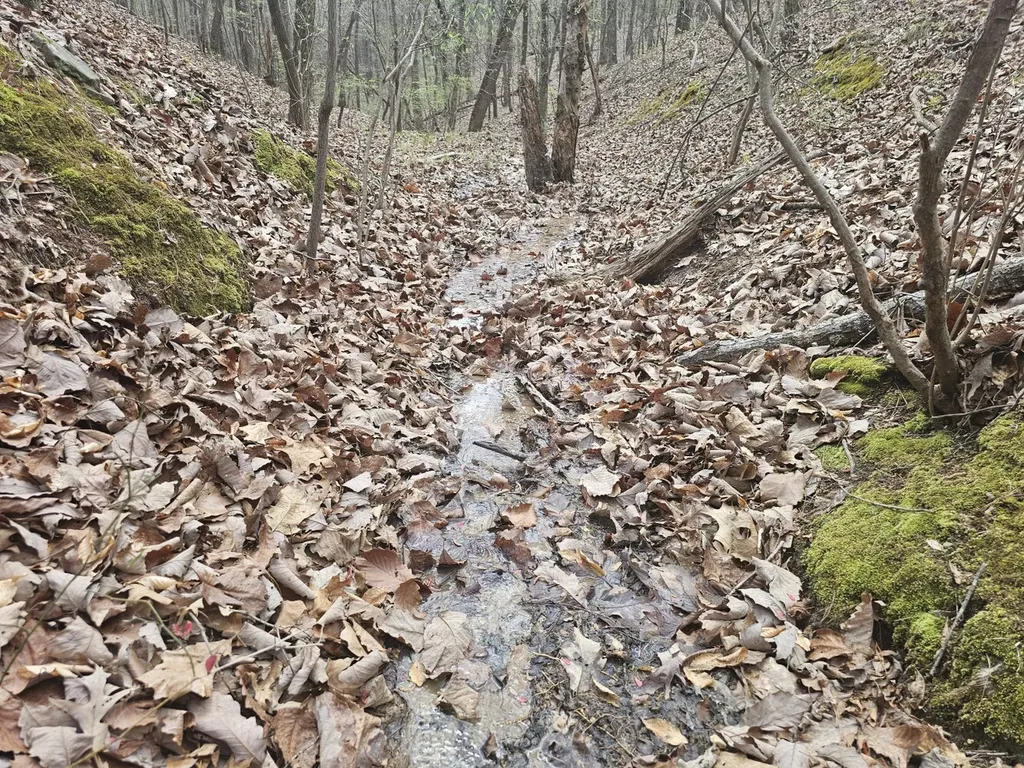 0000 County Road 10 Guin AL 35563