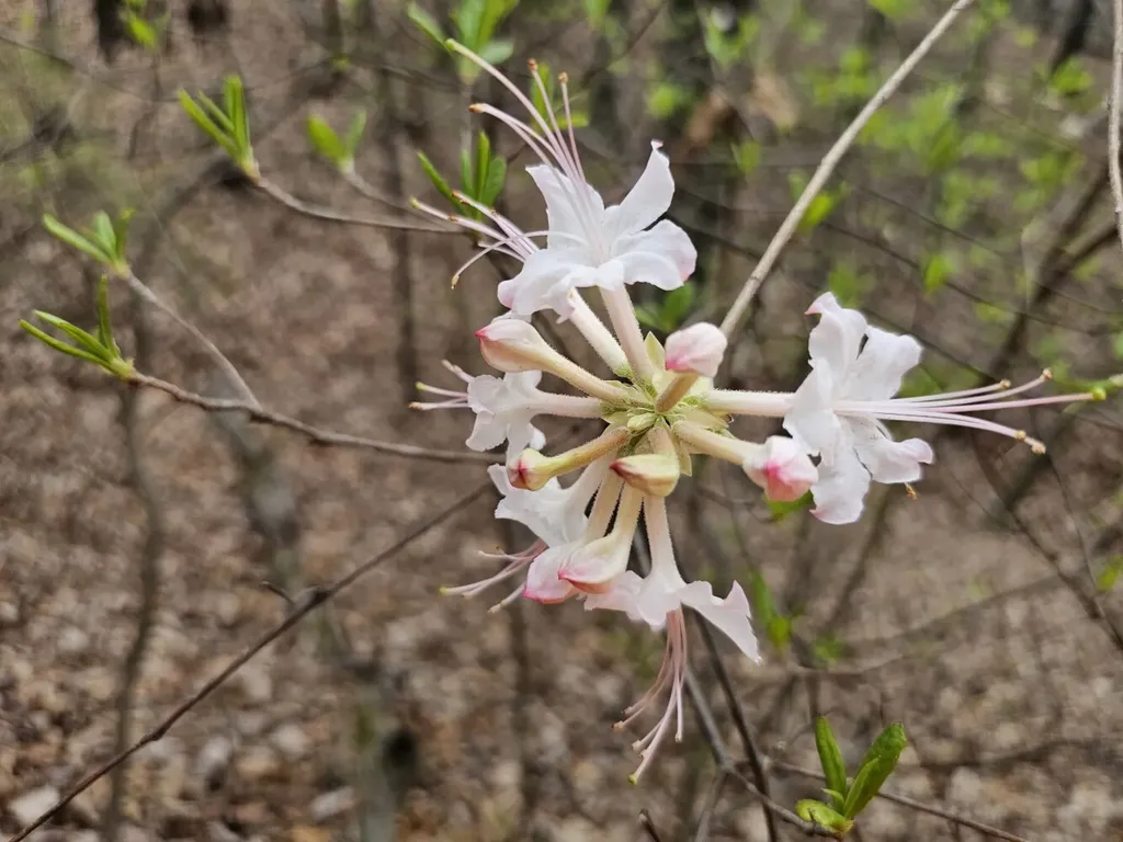 0000 County Road 10 Guin AL 35563