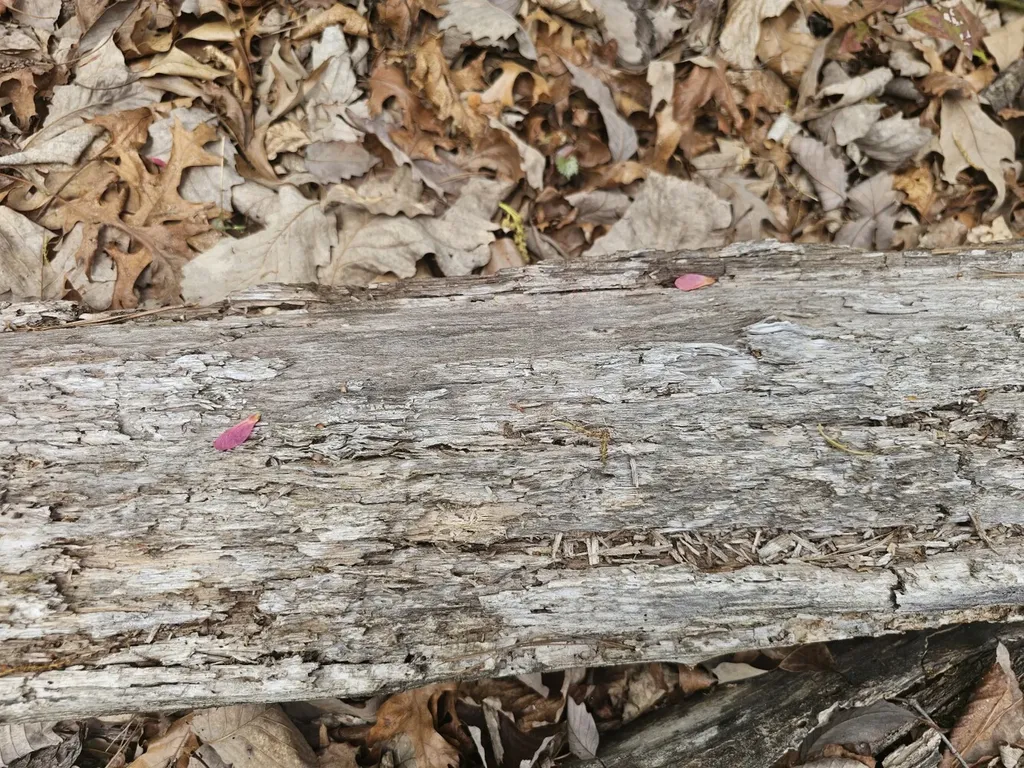 0000 County Road 10 Guin AL 35563