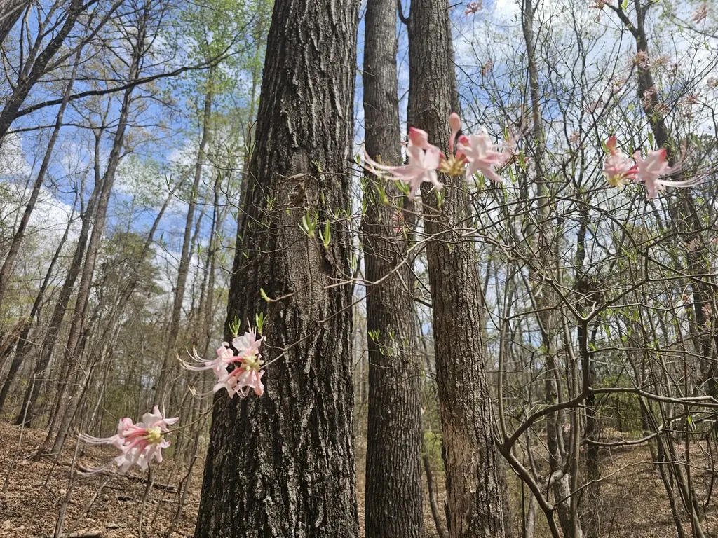 0000 County Road 10 Guin AL 35563