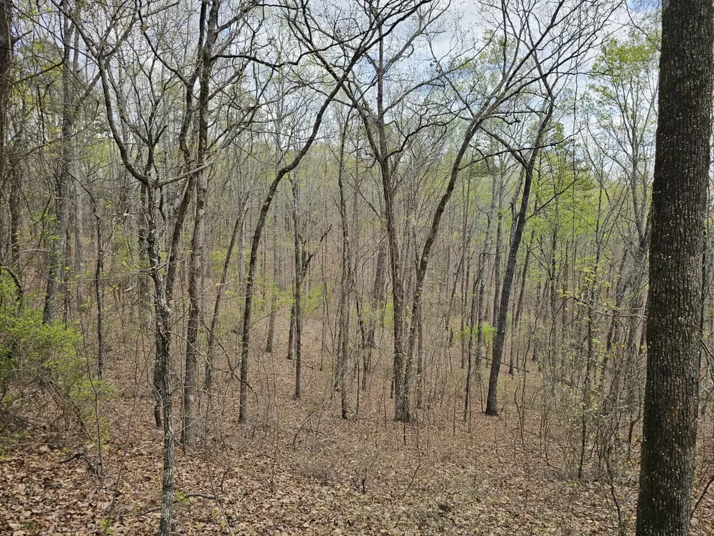 0000 County Road 10 Guin AL 35563