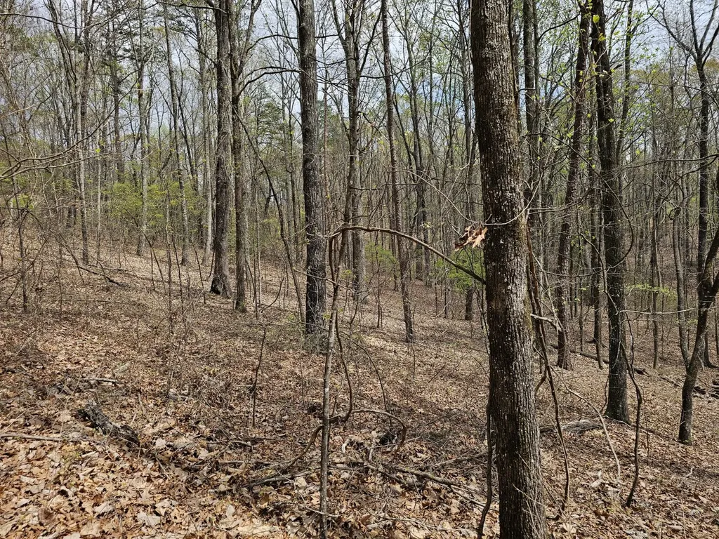 0000 County Road 10 Guin AL 35563