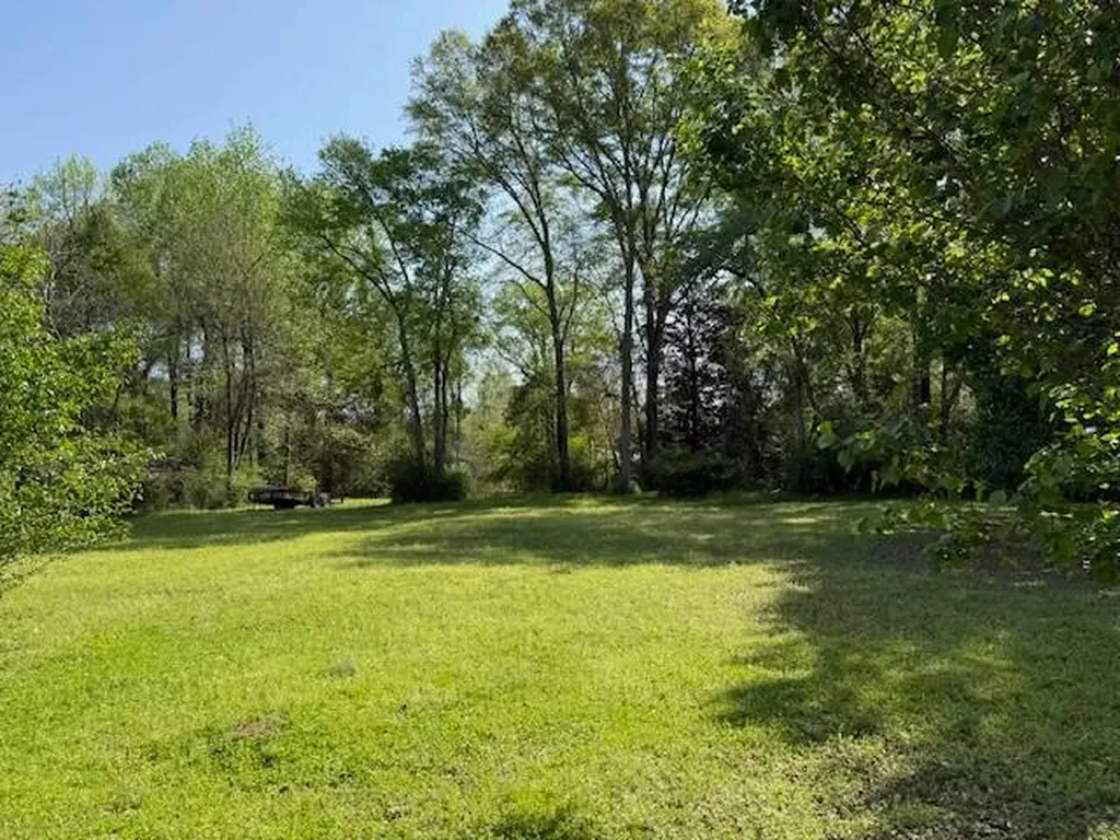 401 E. Center Avenue Linden AL 36748