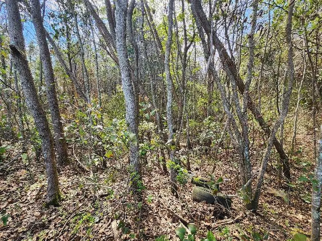 0 Hurricane Boulevard Irvington AL 36544