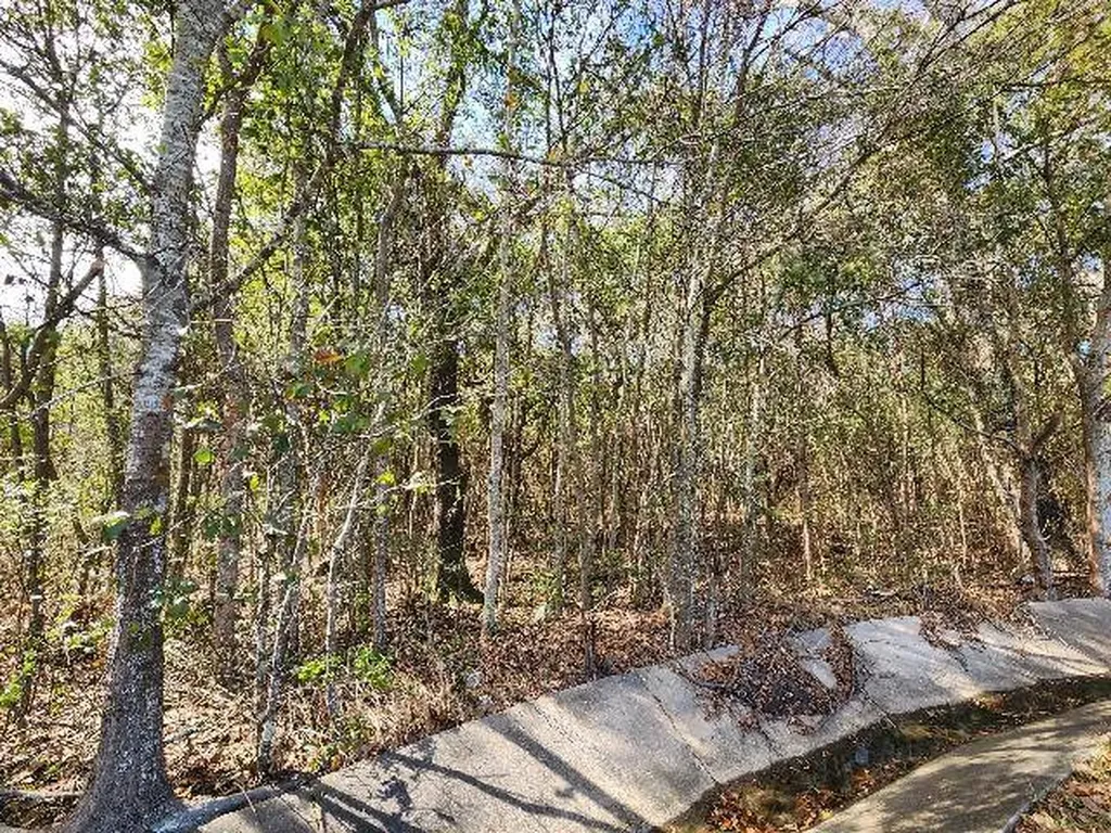 0 Hurricane Boulevard Irvington AL 36544