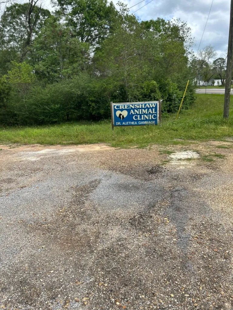 624 W. Third Street Luverne AL 36049