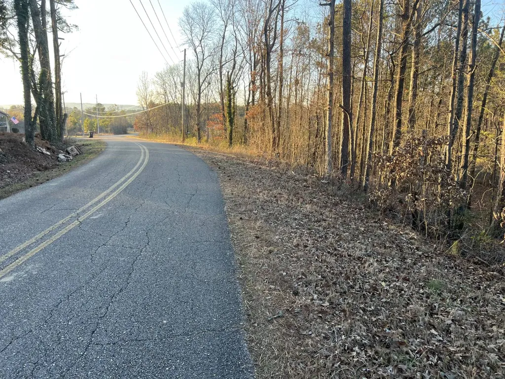 0 Ray Street Centre AL 35960