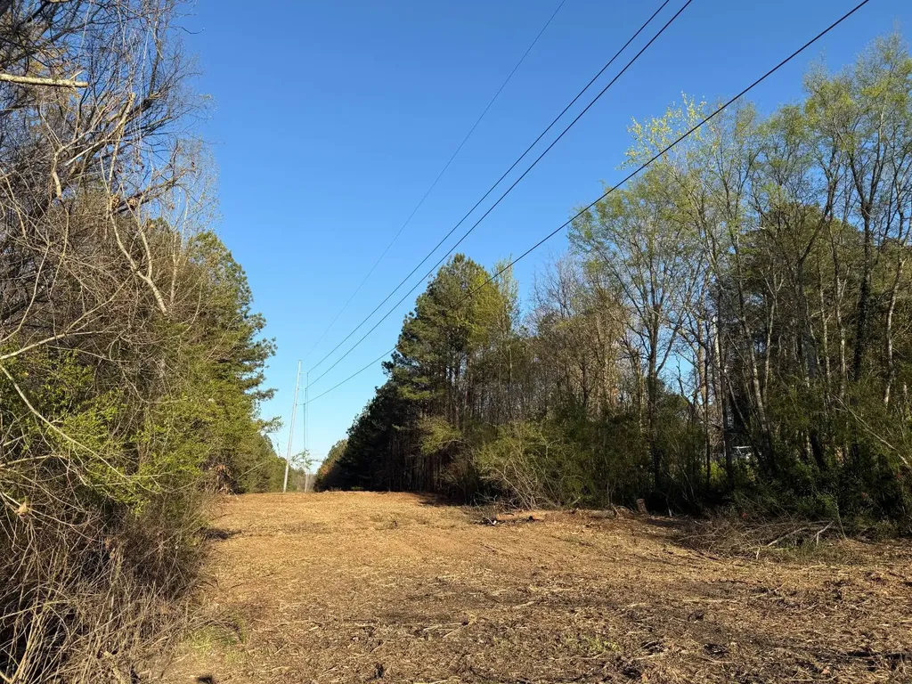 0 Ray Street Centre AL 35960