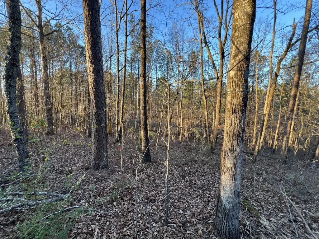 0 Ray Street Centre AL 35960