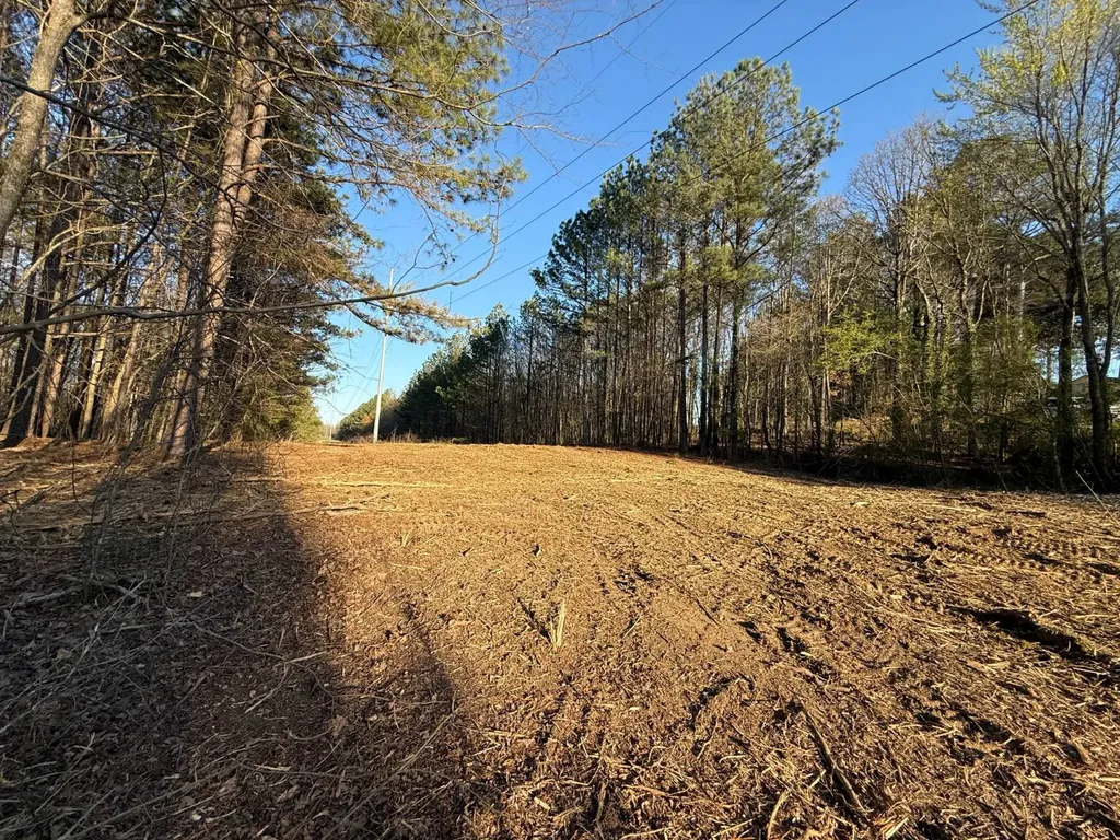 0 Ray Street Centre AL 35960