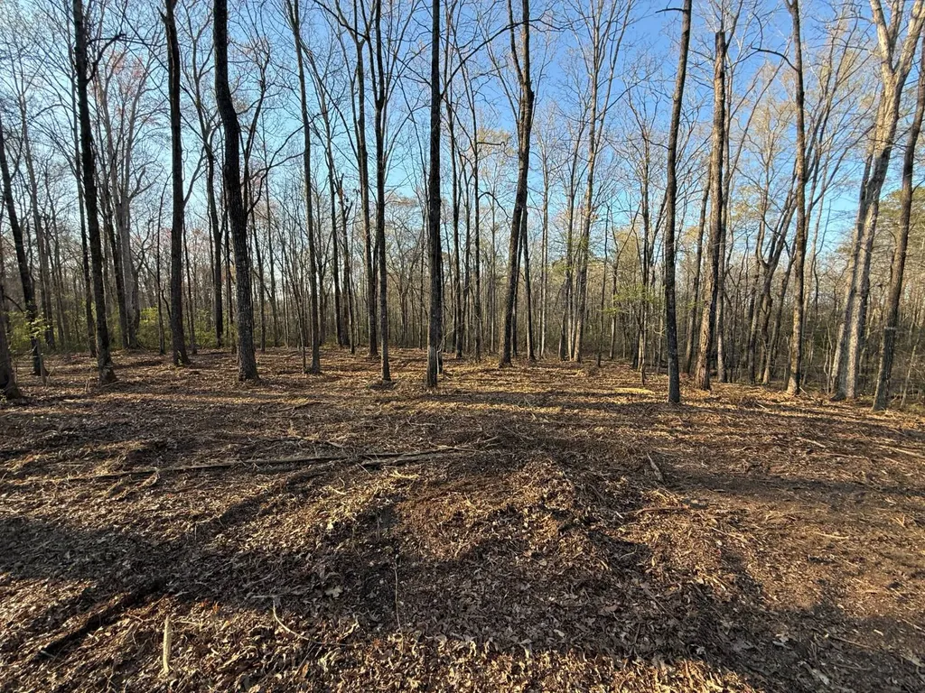 0 Ray Street Centre AL 35960