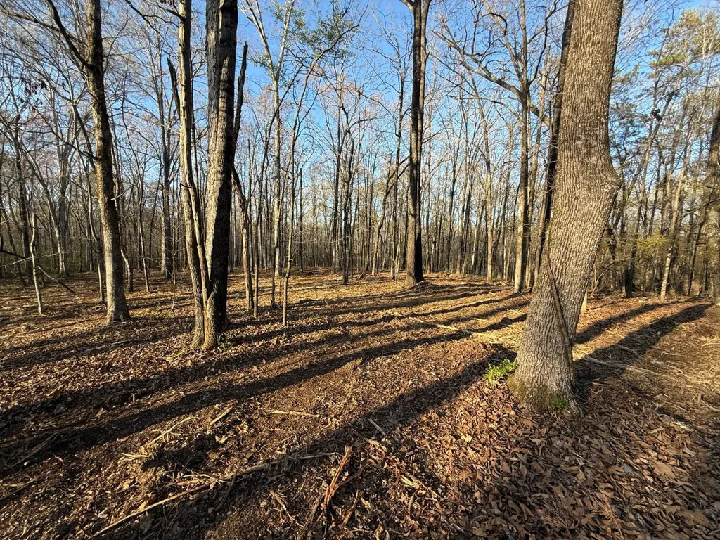 0 Ray Street Centre AL 35960