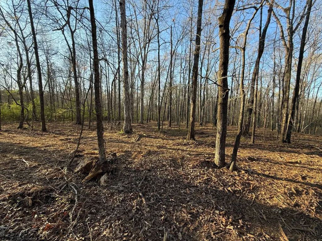 0 Ray Street Centre AL 35960