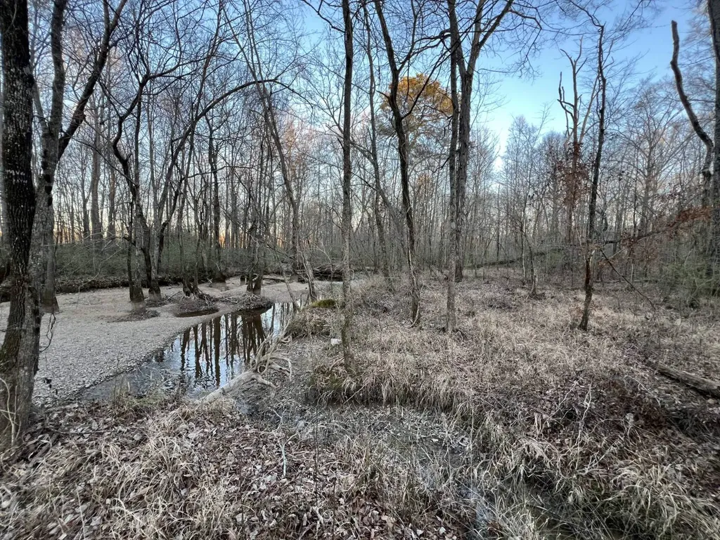 0 Ray Street Centre AL 35960