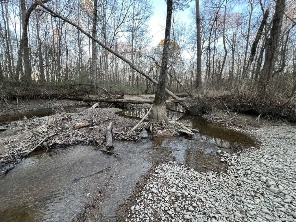 0 Ray Street Centre AL 35960