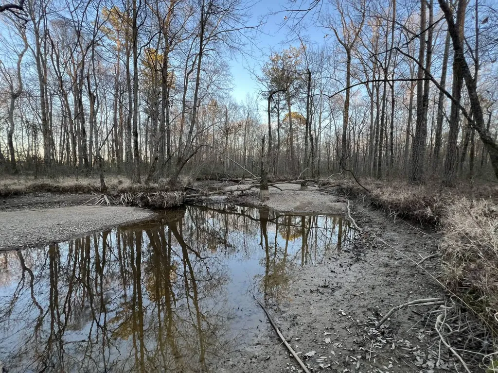 0 Ray Street Centre AL 35960